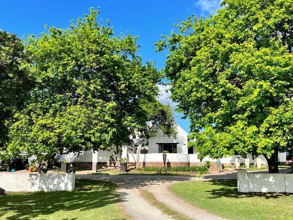 Bitou River Lodge Plettenberg Bay Exterior foto
