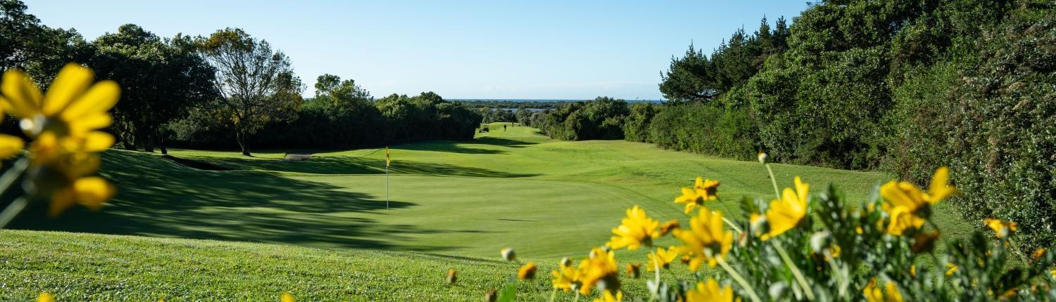 Bitou River Lodge Plettenberg Bay Exterior foto